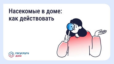 ��������� � ����: ��� �����������