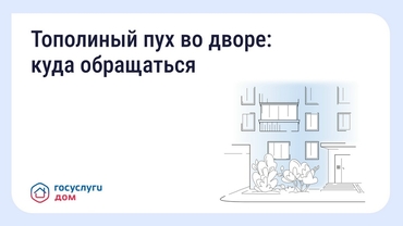 ��������� ��� �� �����: ���� ����������