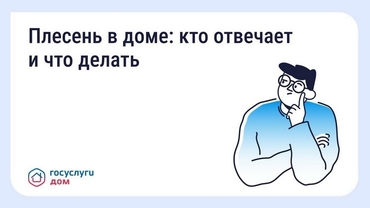 ������� � ����: ��� �������� � ��� ������